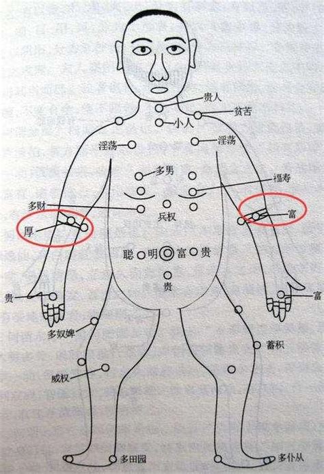 左手小臂有痣|痣的位置透露出這些訊息！上手臂有痣不乏追求者、手。